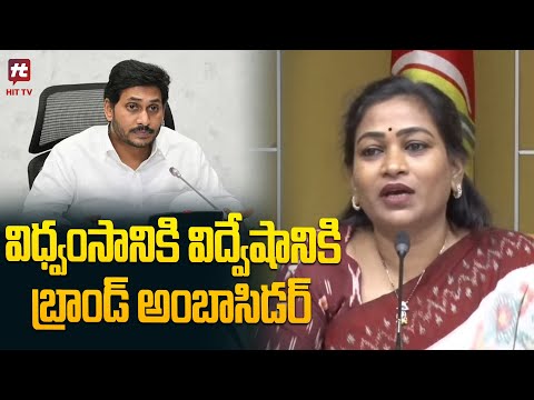 AP Home Minister