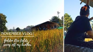 Life in Arunachal Pradesh | Rice Harvesting | Seeing 0ff My Brother