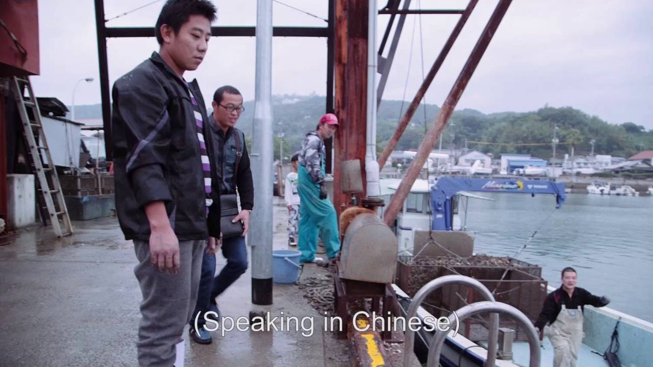 Oyster Factory Trailer YouTube