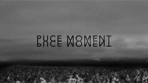 Puce Moment - Motor (original video)