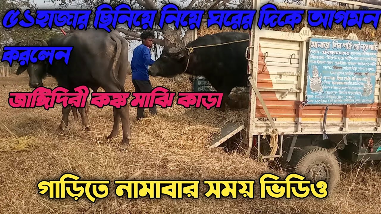 বাড়িতে আসার পর কেমন আছে দেখুন 🔥🔥💥🔥####