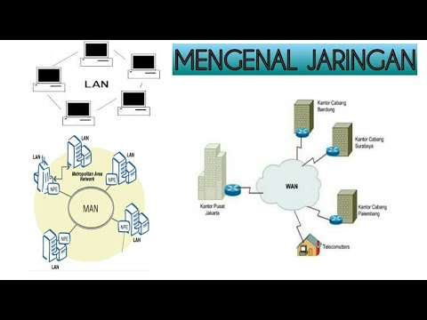 Jaringan Lan Man