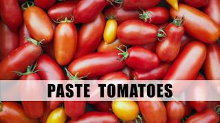 Paste Tomatoes of 2026