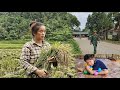 Picking rice and going to buy toys for the baby, I accidentally saw a soldier passing by