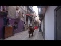 VACAS DE ARRIAZU POR LAS CALLES DE ABLITAS (NAVARRA) 13- 09 -2013