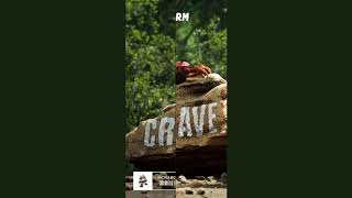 Crab Rave but every other beat is missing and it's reversed