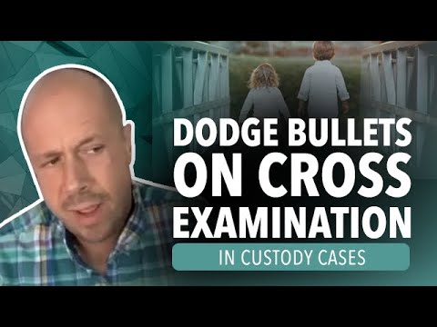Come sopravvivere Croce esame in Child Custody Court