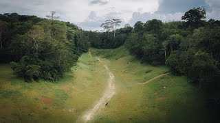 This valley in Singapore looks like Jurassic Park