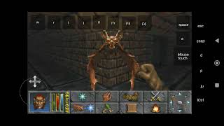daggerfall on android with magic dosbox (privateer's hold)