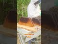 Beekeeping Secrets: Wax, Queens, & Healthy Hives Revealed! #shorts