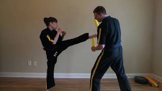 Roundhouse - Back-fist - Reverse Punch Challenge