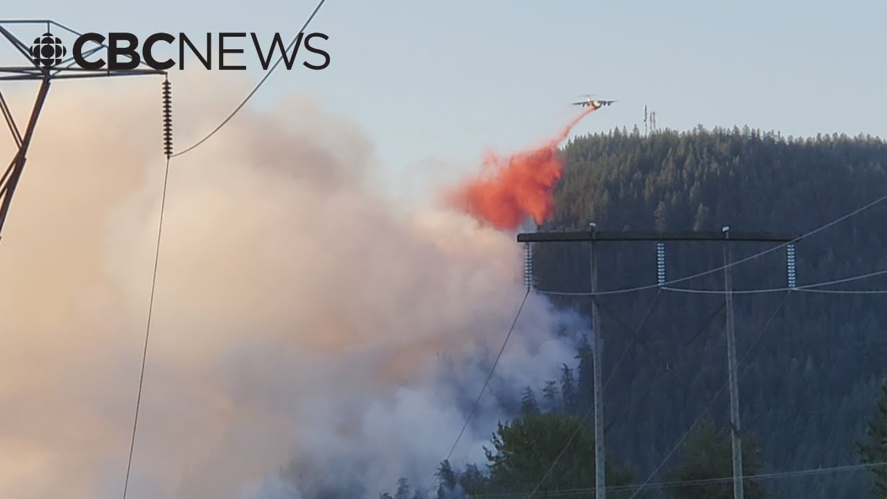 Wildfire south of Lytton, B.C. leads to evacuation alert