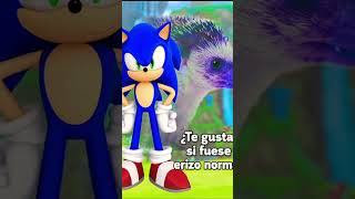 SONIC FOTOS