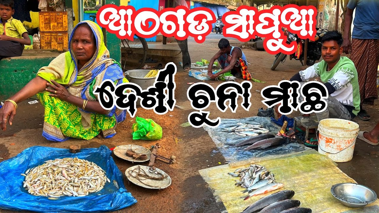 ଆଠଗଡ଼ ସାପୁଆ ନଈ କଇଁଆ ଛକ ଦେଶୀ ଚୁନା ମାଛ 