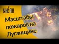 Лесные пожары в Луганской области