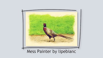 PheasantArt by Filter Forge