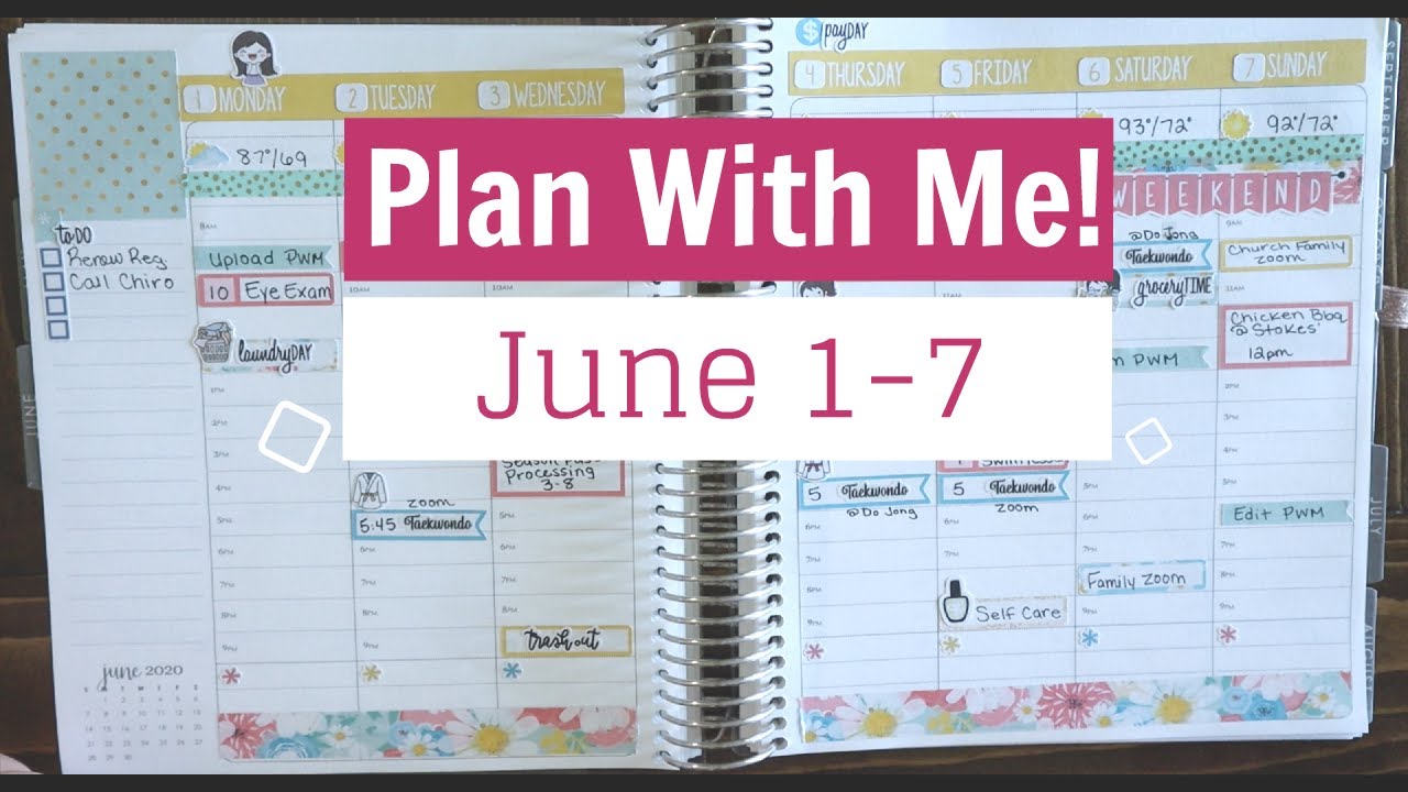 Plan With Me! | June 1-7 | Erin Condren Hourly Life Planner - YouTube