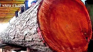 full of struggle || giant wood cutting process again