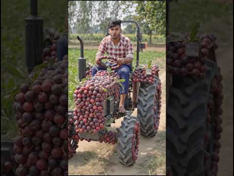 jamun ka tractor Mahindra showroom Mahindra tractor new model 2026 AI video banana shuru Karen