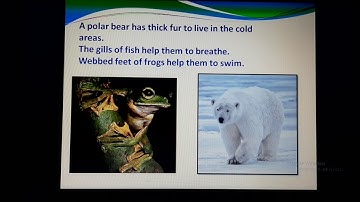 Class 5 science chapter 6 video 4