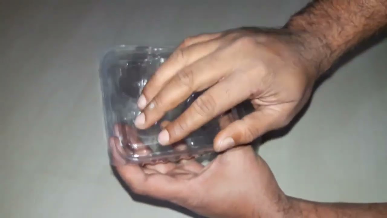 strawberry punnet . plastic packaging