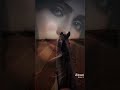 هاني شاكر نفسي اشوف الشمس