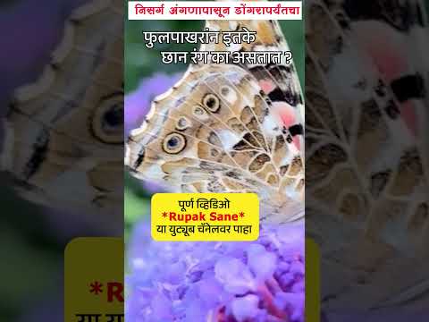 पूर्ण विडिओसाठी👆क्लिक करा
