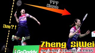 Zheng SiWei - The King of Badminton Mixed Doubles | Machine Gun Smash (HD)
