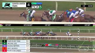 Vidéo de la course PMU STARTER OPTIONAL CLAIMING