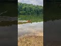 A rare encounter while fishing. Hammertown lake jackson Ohio . 2023