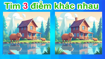 Thử thách trí tuệ: Tìm điểm khác nhau trong ảnh P18 | #dovui  #quiz  #thuthach #tritue #caudo