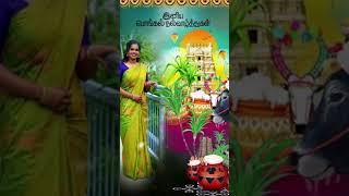 Happy Pongal/பொங்கல் வாழ்த்துகள்?தைத் திருநாள் வாழ்த்துகள் happypongal2024 pongalwishes pongal