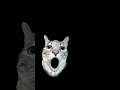 cut cat #brainrot # song#roblox