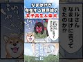 なまはげが存在する世界線の女子高生と柴犬 #世界の終わりに柴犬と #shorts