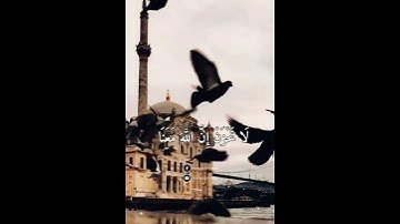 لا تحزن إن الله معنا تلاوة خاشعة ومؤثرة للشيخ عبدالرحمن مسعد