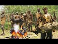 See How Hadzabe Catch and Eat A  of Bush Pig  | hunter's documentary || TRIBES AFRICA