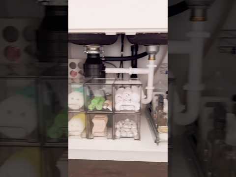 Under Kitchen Sink