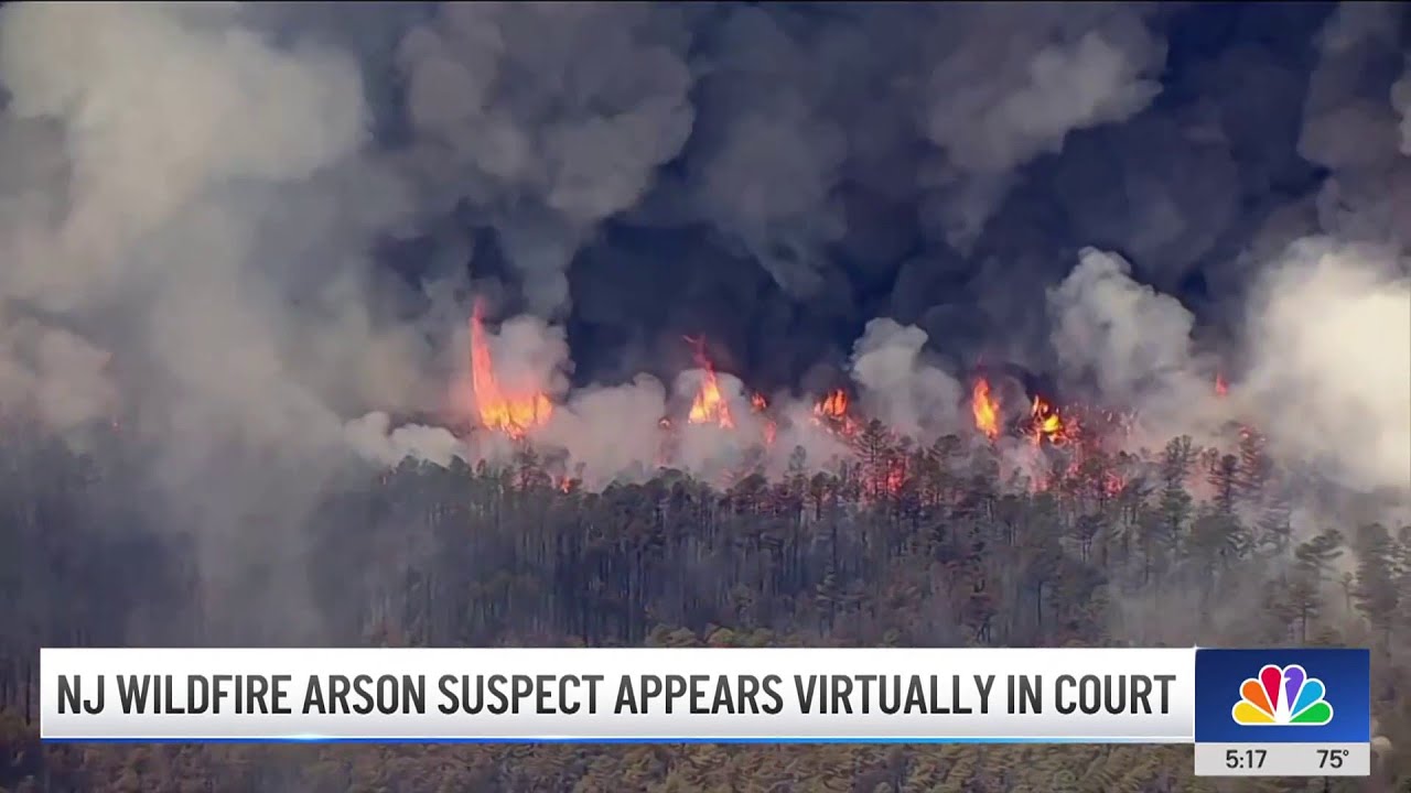 NJ wildfire arson suspect appears virtually in court - YouTube