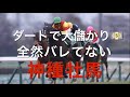 【競馬】バレてないダートで大儲けできる神種牡馬【競馬検証】