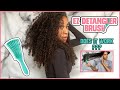 EZ Detangler Brush Review: Is It Worth It? | Waist Length Natural Hair