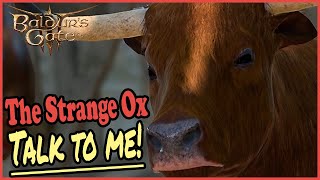 We Met The Strange Ox in Baldurs Gate 3 | Baldurs Gate 3 Spore Druid Gameplay