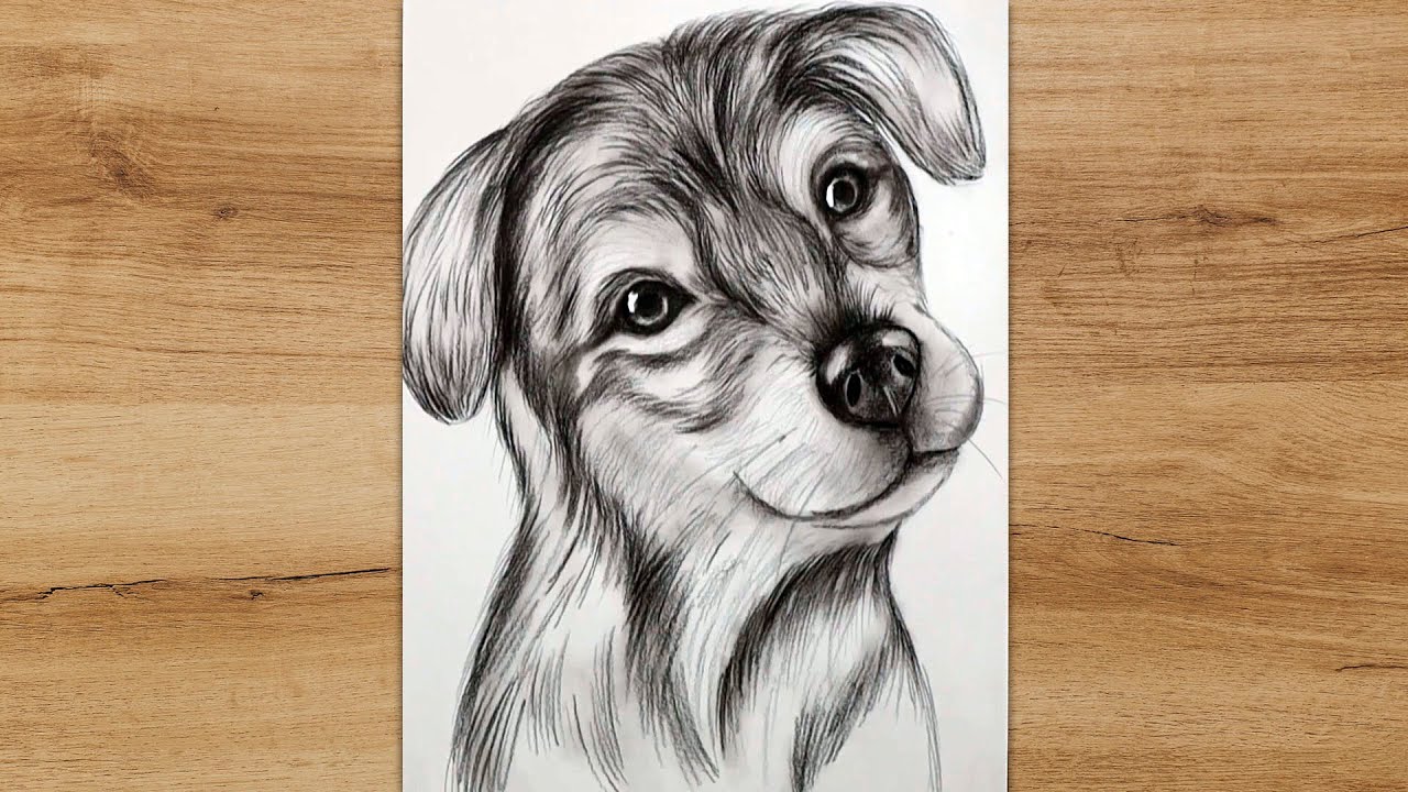 How to Draw a Dog Head Step by Step for Beginners | Cute Dog ...