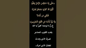 سورة يوسف:الآية 110].