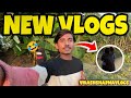 New vlogs खेत का 🤗 #vikashsharmavlogs #vlog