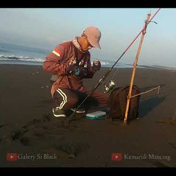 STORY MANCING || Albert Einstein Quotes | kata kata bijak | strory WA 30d | dj All night no Sleep