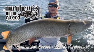 Giant Muskies on Big Rubber in the late fall in Minnesota  Mayhem's 10000 Casts Season 3 Episode 11