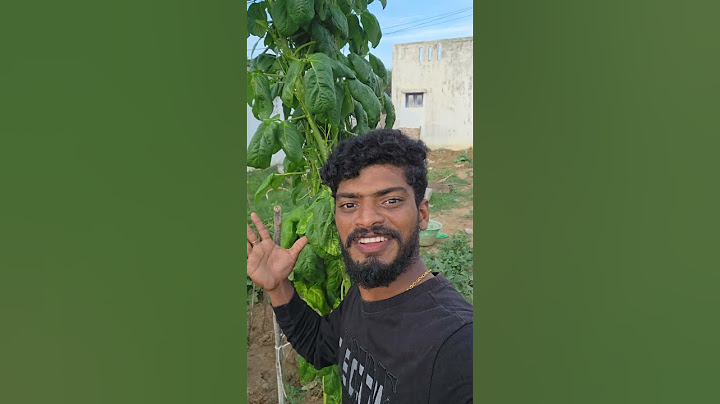What is this thorny tree? The Lord has made it so tall all by himself #ytshorts #giftsofthenature...
