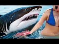 If You’re Scared of Sharks, Don’t Watch This #2