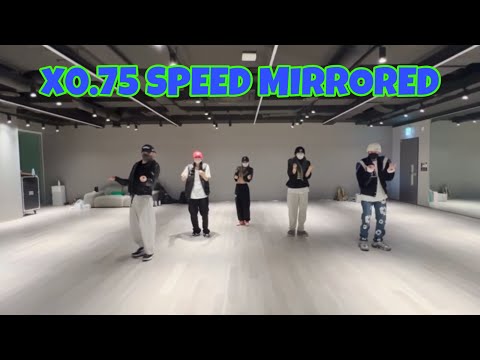 [NCT x aespa - ZOO] BADA LEE X TAEYONG Dance Slow Mirrored (x0.75 speed)