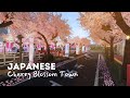 🌸Japanese Cherry Blossom Town🌸 in BLOXBURG | Preview